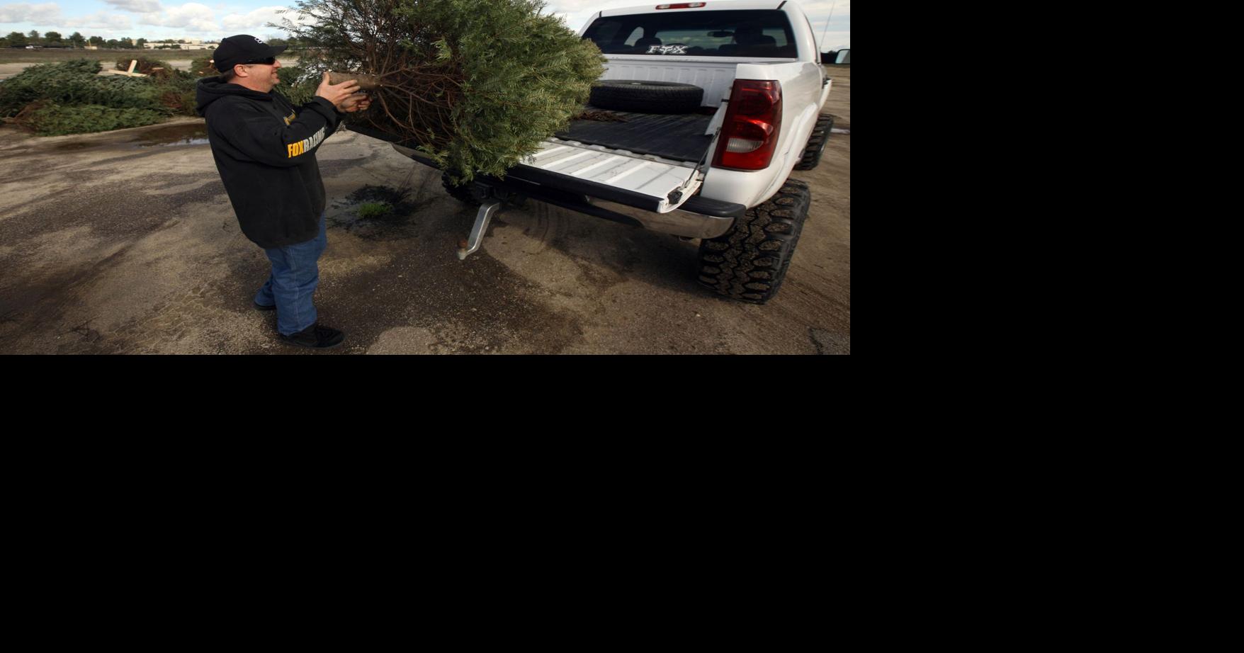 Christmas Tree Recycling Near Me 2022 Bakersfield Ca Christmas Tree Recycling: Where To Take Your Tree | News | Bakersfield.com