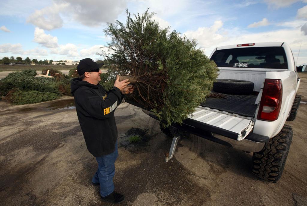 Christmas Tree Disposal Bakersfield 2022 Christmas Tree Recycling: Where To Take Your Tree | News | Bakersfield.com