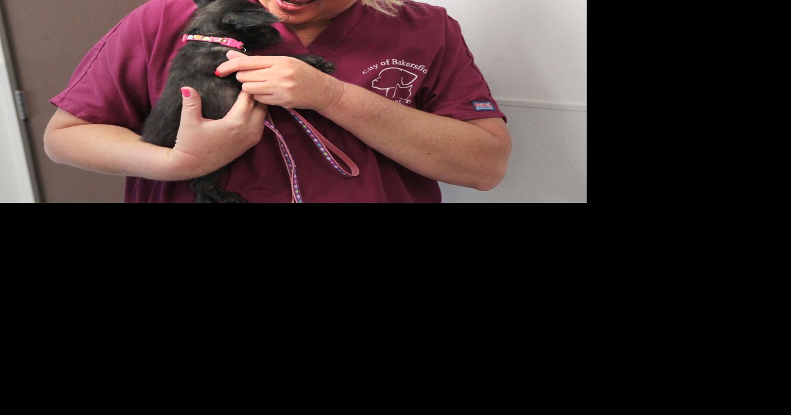 City of Bakersfield Animal Care Center Photo Gallery