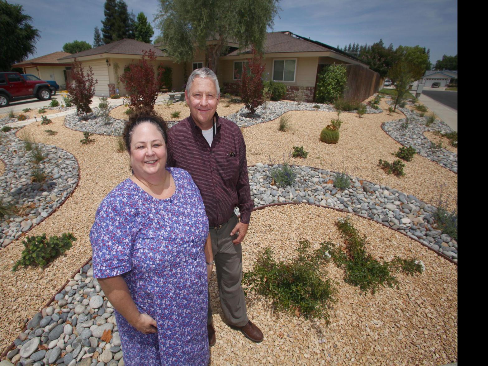 Drought Incentives Spur Turf Replacement Archives Bakersfield Com