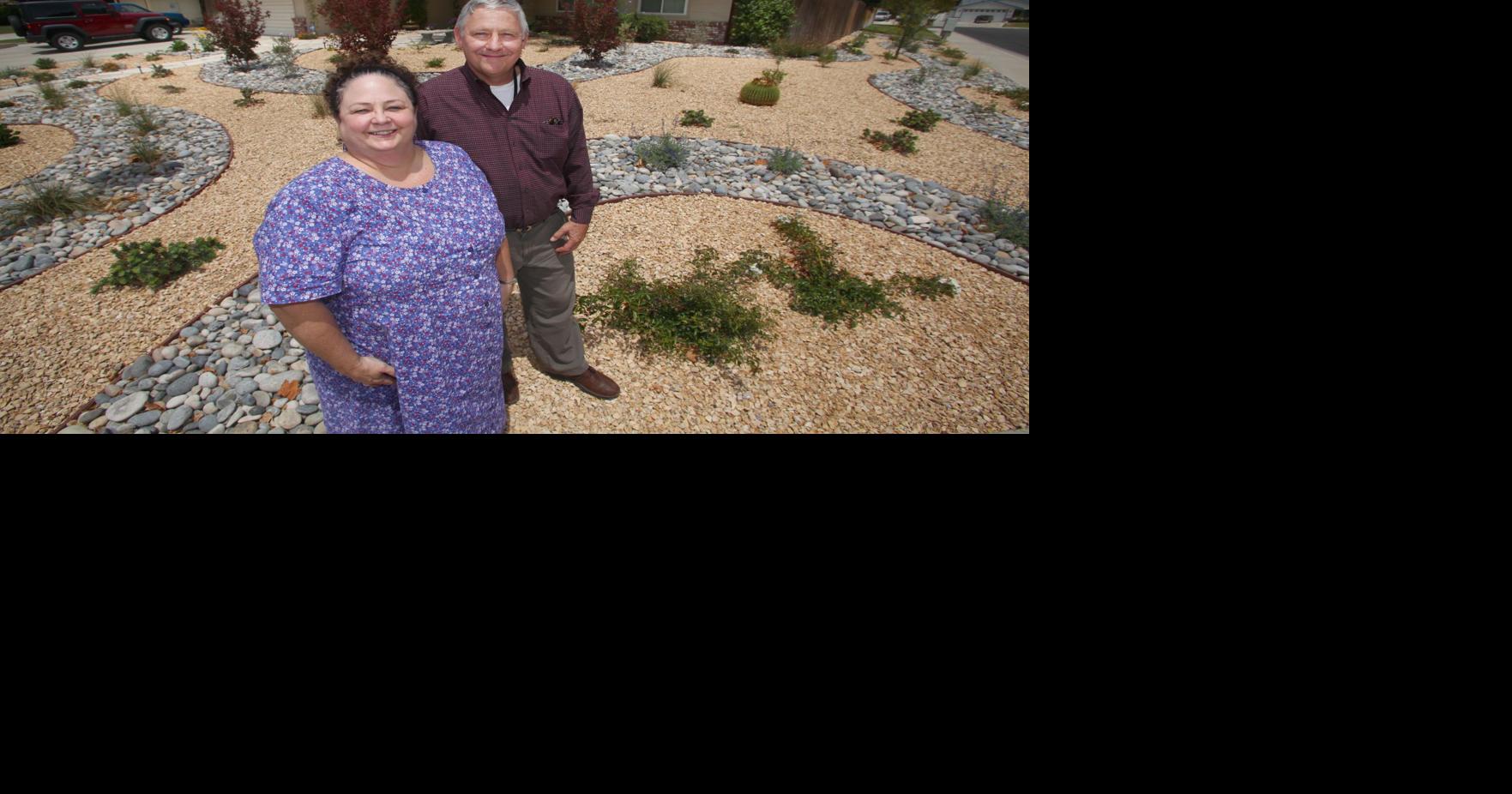 Drought Incentives Spur Turf Replacement Archives Bakersfield Com