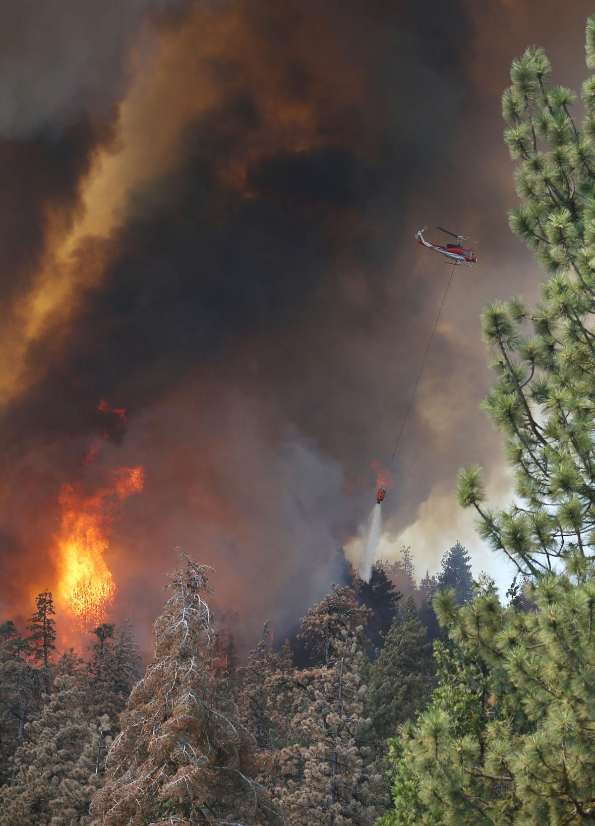 Dead trees fueling dangerous Cedar Fire Breaking
