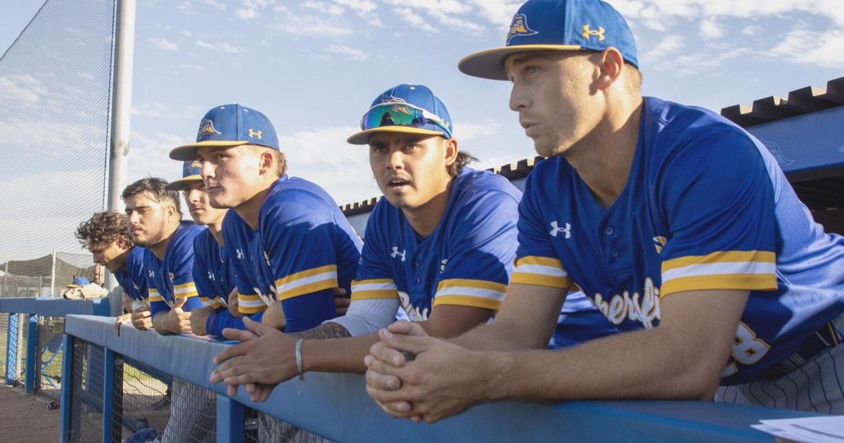 CSUB baseball team tuning up for season with intrasquad Blue-Gold World ...
