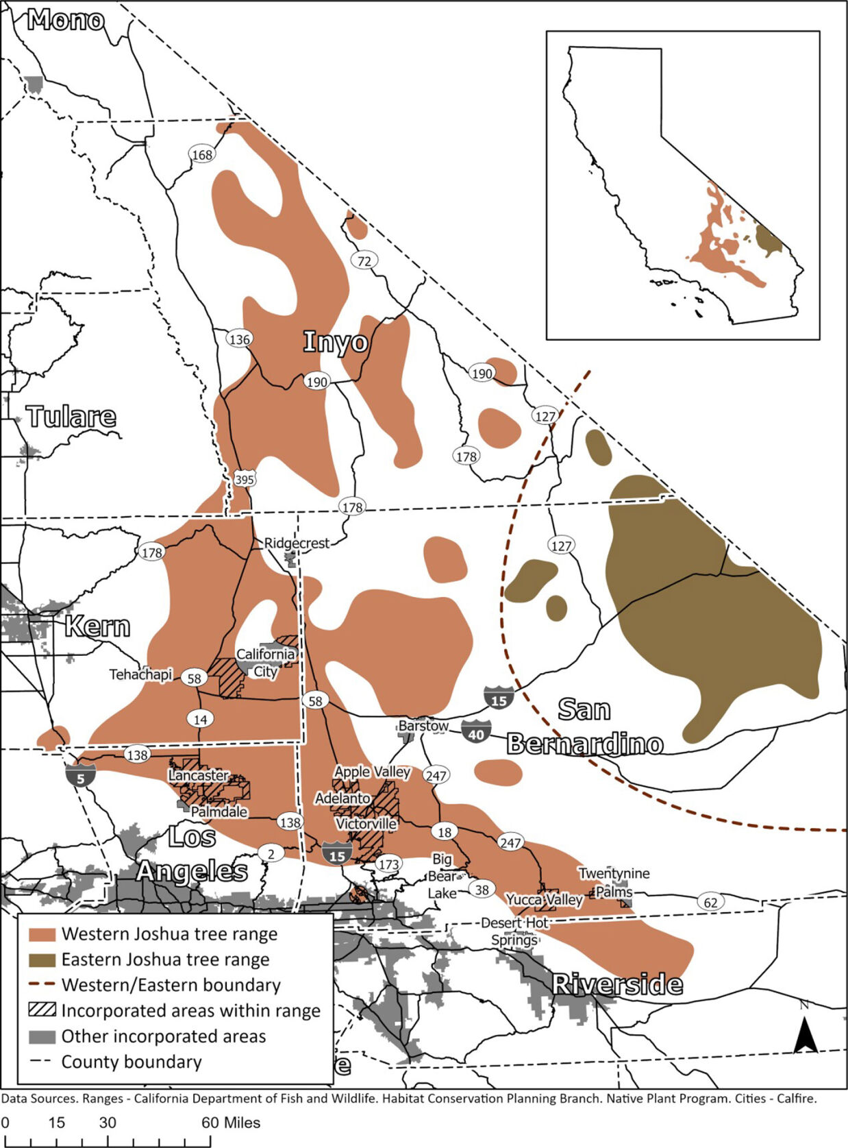 Threatened status of western Joshua tree to be considered by Fish