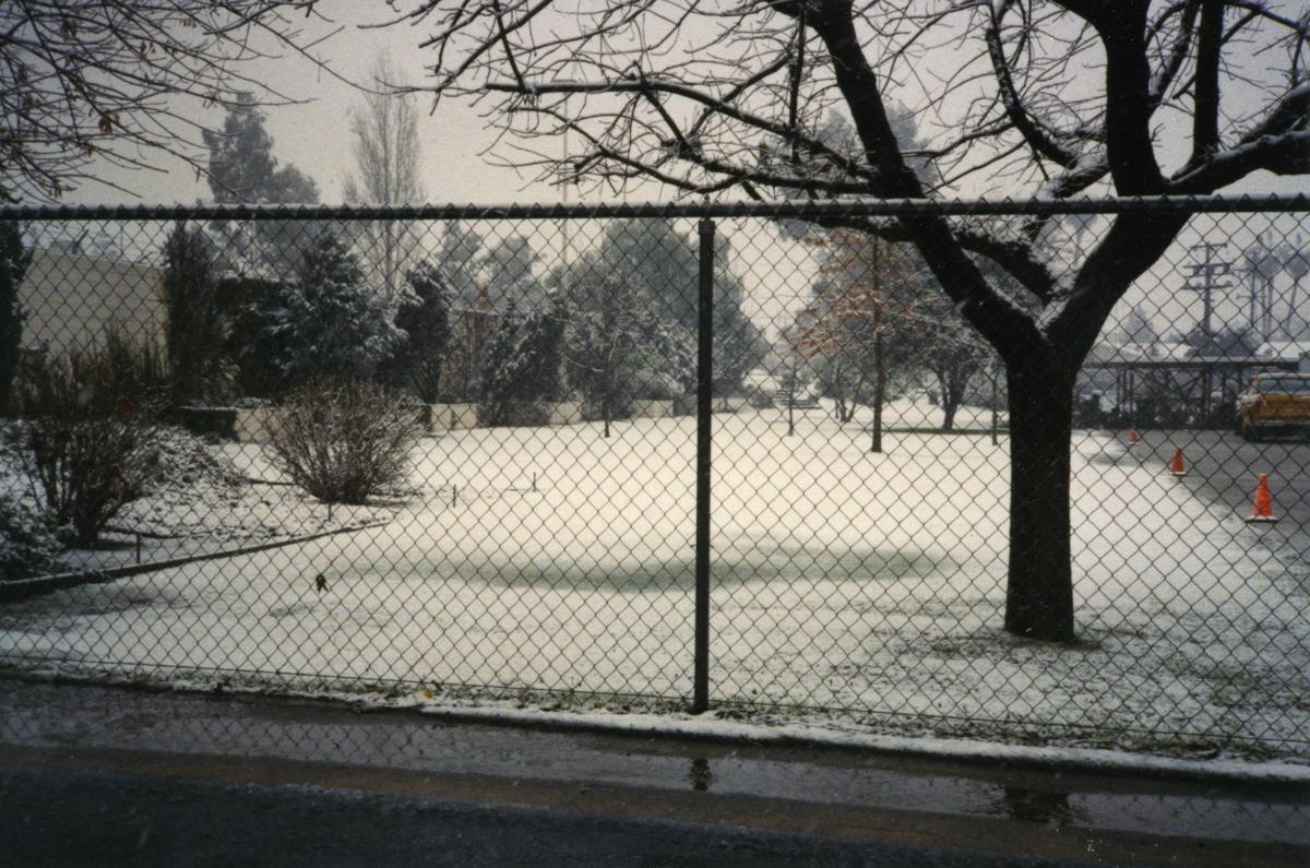 PHOTO GALLERY Looking back at Bakersfield's snow day Multimedia