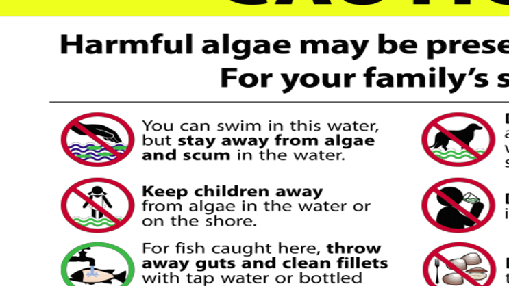Potentially Harmful Blue Green Algae Found In Lake Isabella Lake Users Should Exercise Caution News Bakersfield Com