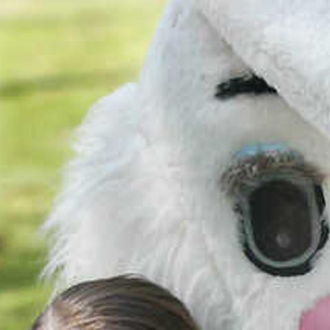 Easy Easter Entertainment Entertainment Bakersfield Com