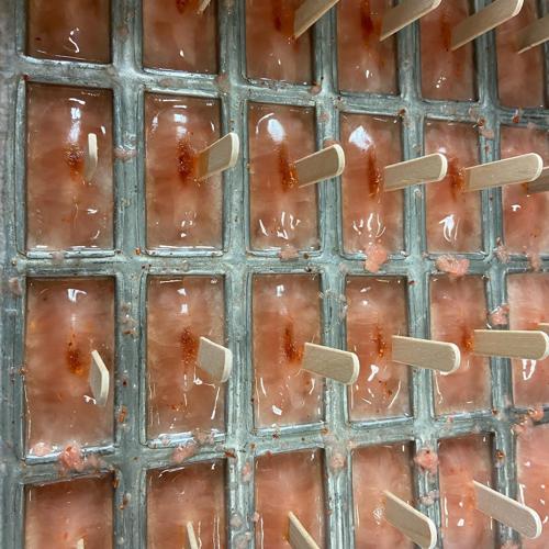 Celebrate this Cinco de Mayo weekend