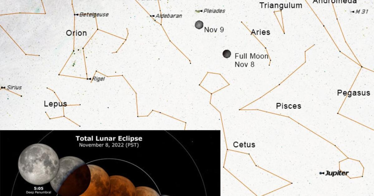 NICK STROBEL: Vollständige Mondfinsternis auf Abruf | Entertainment NICK STROBEL: Vollständige Mondfinsternis auf Abruf | Entertainment