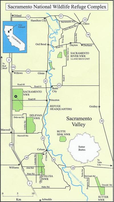 KEN BARNES: Sacramento National Wildlife Complex a great getaway for