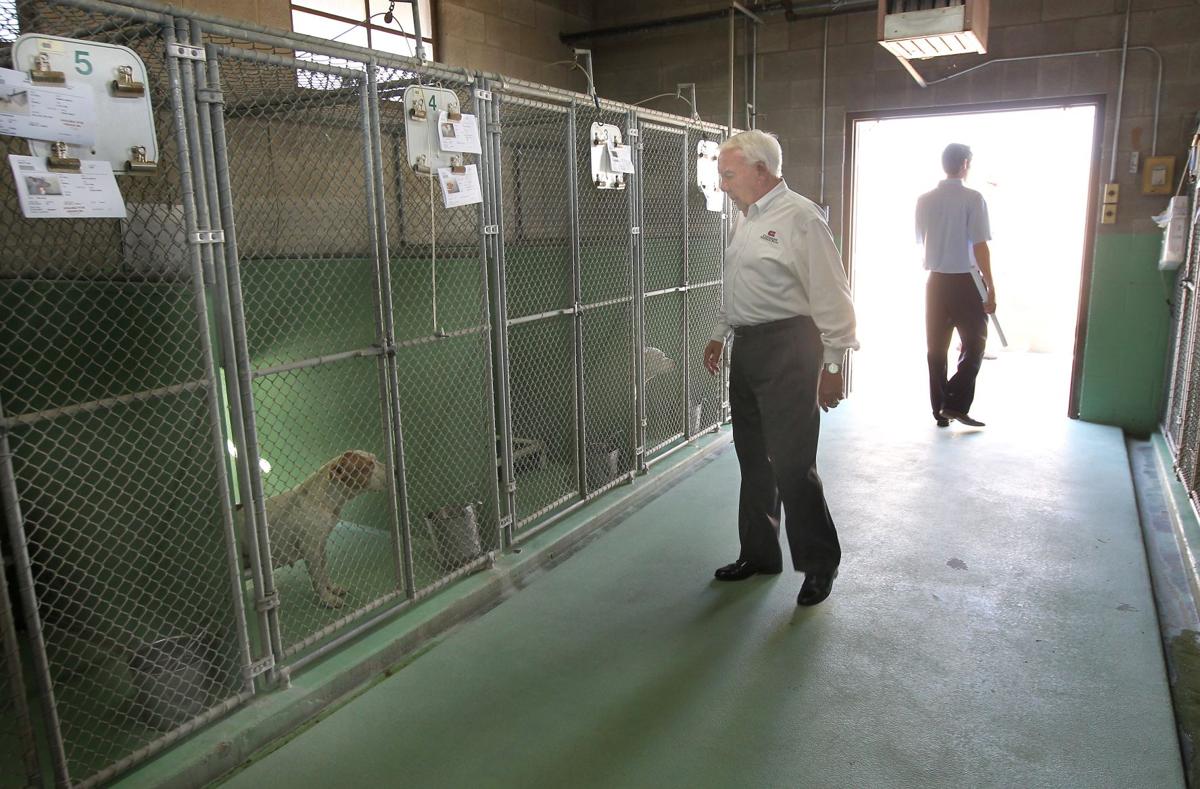 City hopes education, spaying reduce animals, costs at new shelter