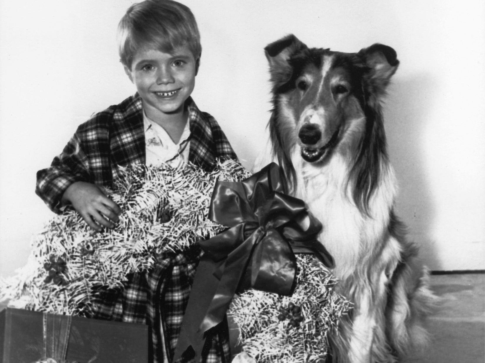 A 'Lassie' Christmas with Jon Provost, Entertainment