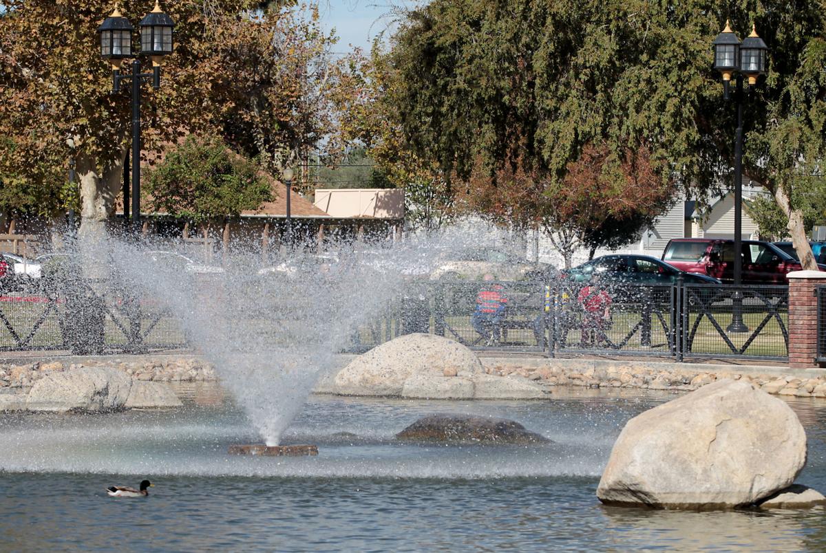 Dogs will have their day Saturday at park Entertainment