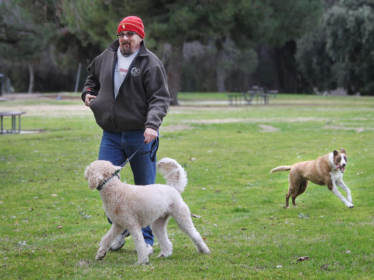 Seasons Dog Park Bakersfield Seasons Dog Park Bakersfield