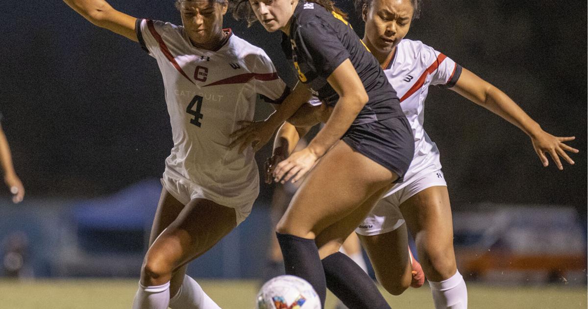 CSUB women's soccer downs CSUN with corner-kick barrage | Sports ...