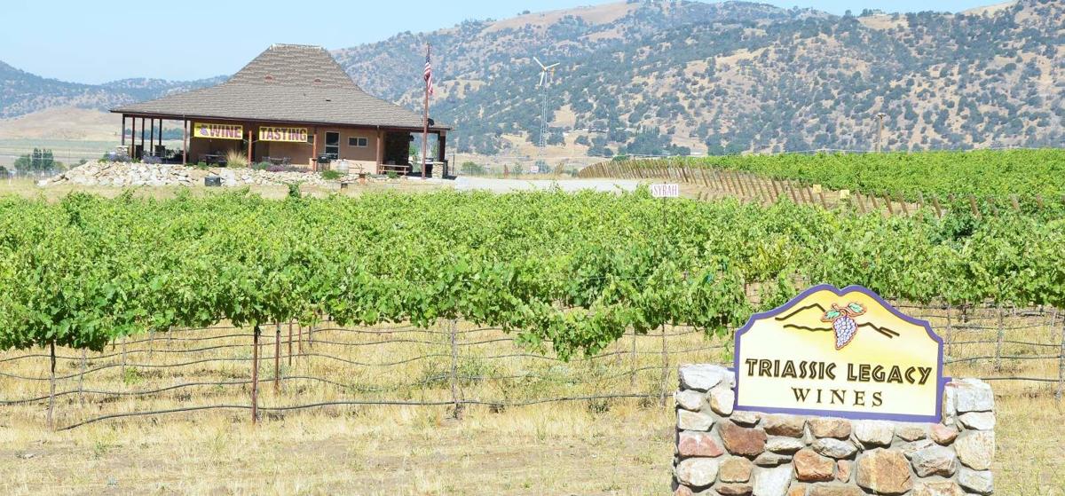 A new Kern County wine country Tehachapi vineyards seek to put region