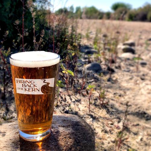 Does Olive Garden Serve Beer? Quench Your Thirst Here!