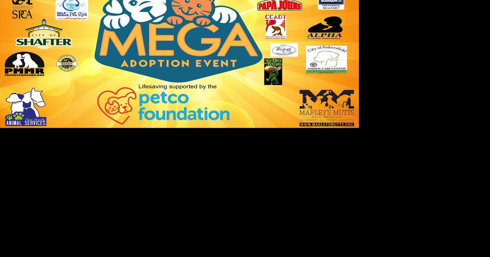 PHOTO GALLERY Mega Adoption event at the fairgrounds Multimedia