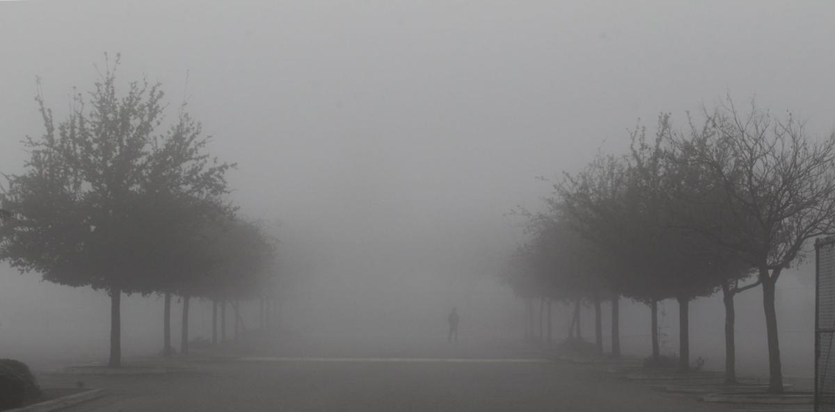 Image result for tule fog