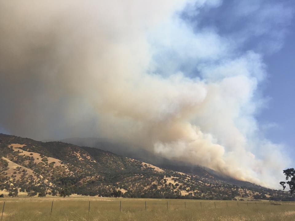 Fire burning toward Bear Valley Springs grows to 1,200 acres News