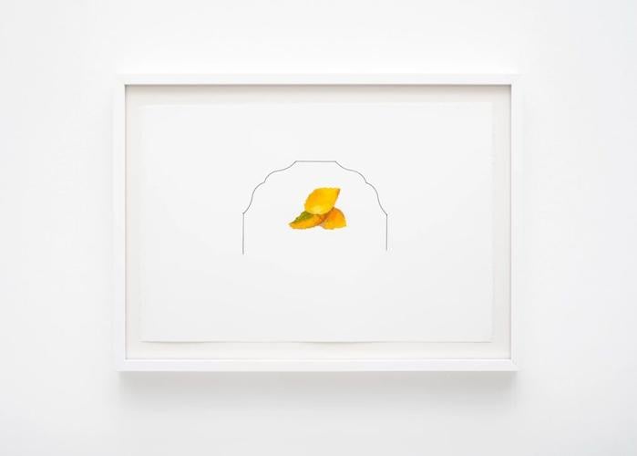 Post image 6