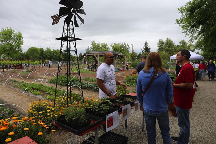 Get in the garden for annual Spring Plant Sale Bakersfield Life