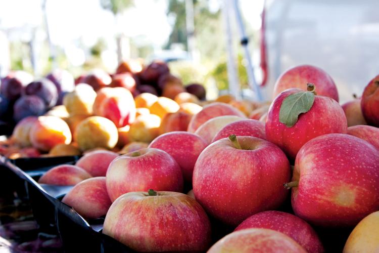 Our Town Apple Picking