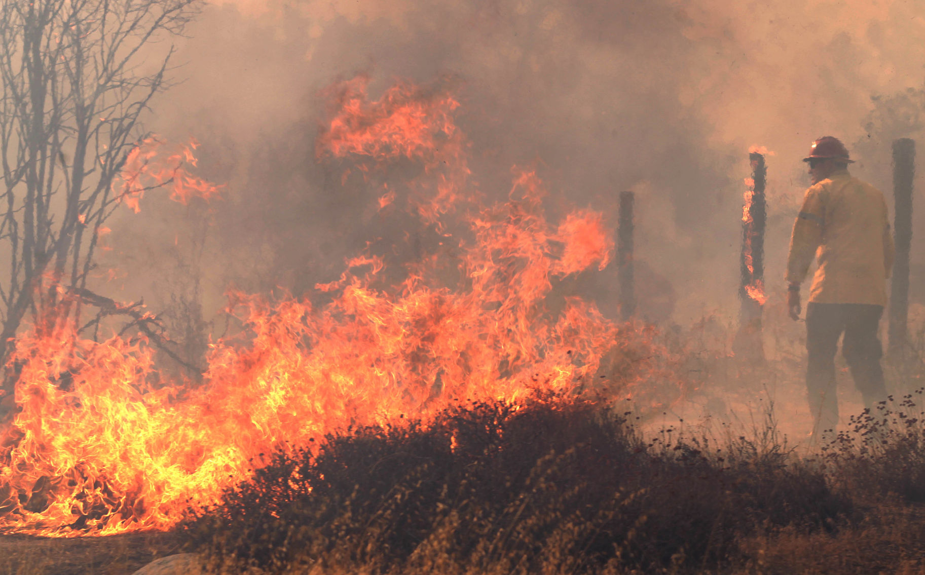 Wofford Heights fire grows to 800 acres News bakersfield