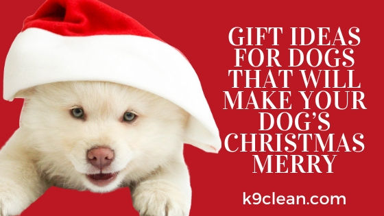 Dog Christmas Gifts: 12 Ideas Your Dog Will Love and Appreciate - Dr.  Buzby's ToeGrips for Dogs