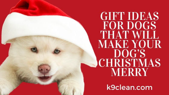 Cute ways to give 2024 a dog for christmas