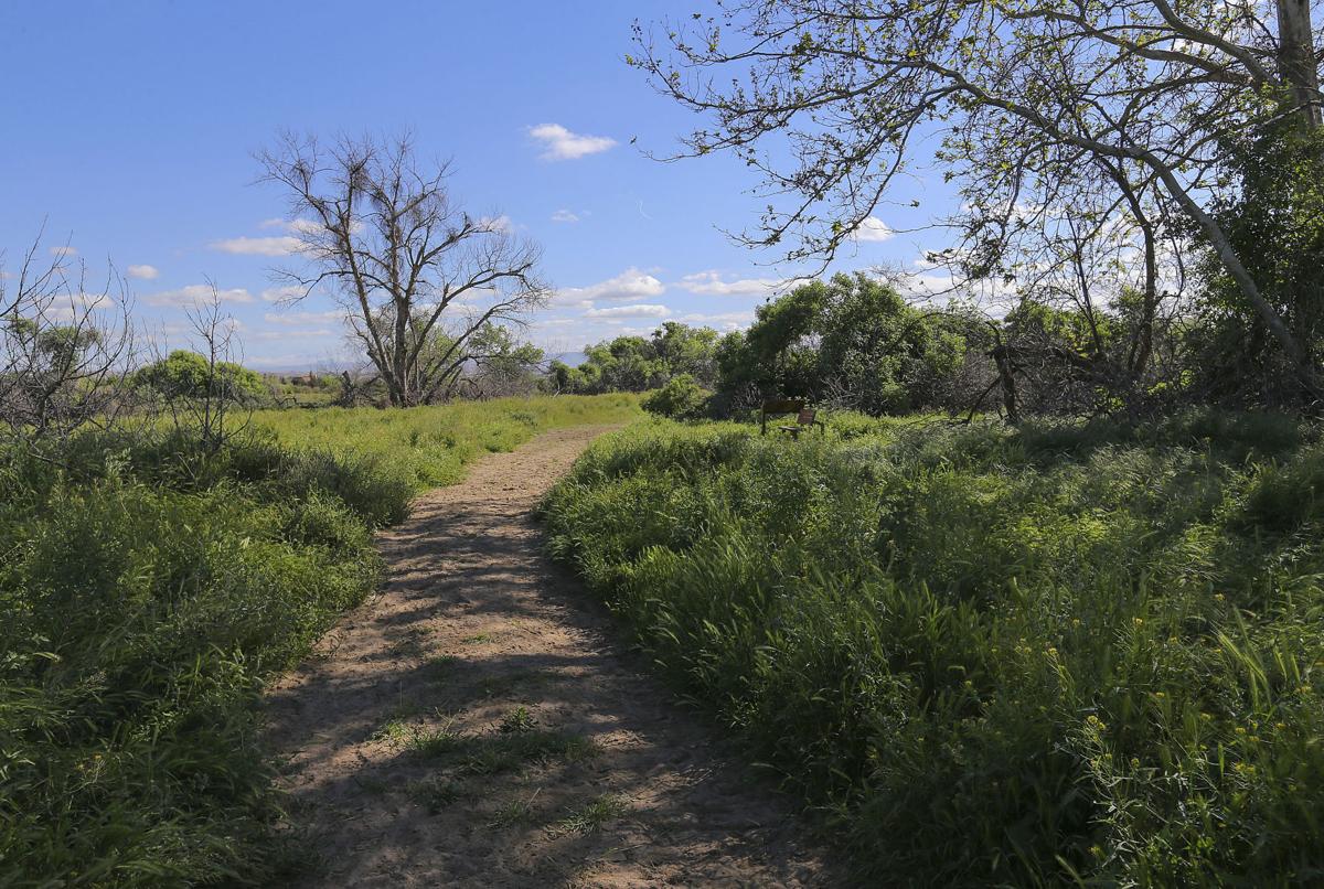 Photo Gallery: Panorama Vista Preserve | Herb Benham ...