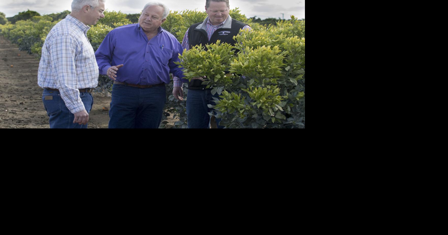 Delano farm survives, thrives into fourth generation | Kern Business ...