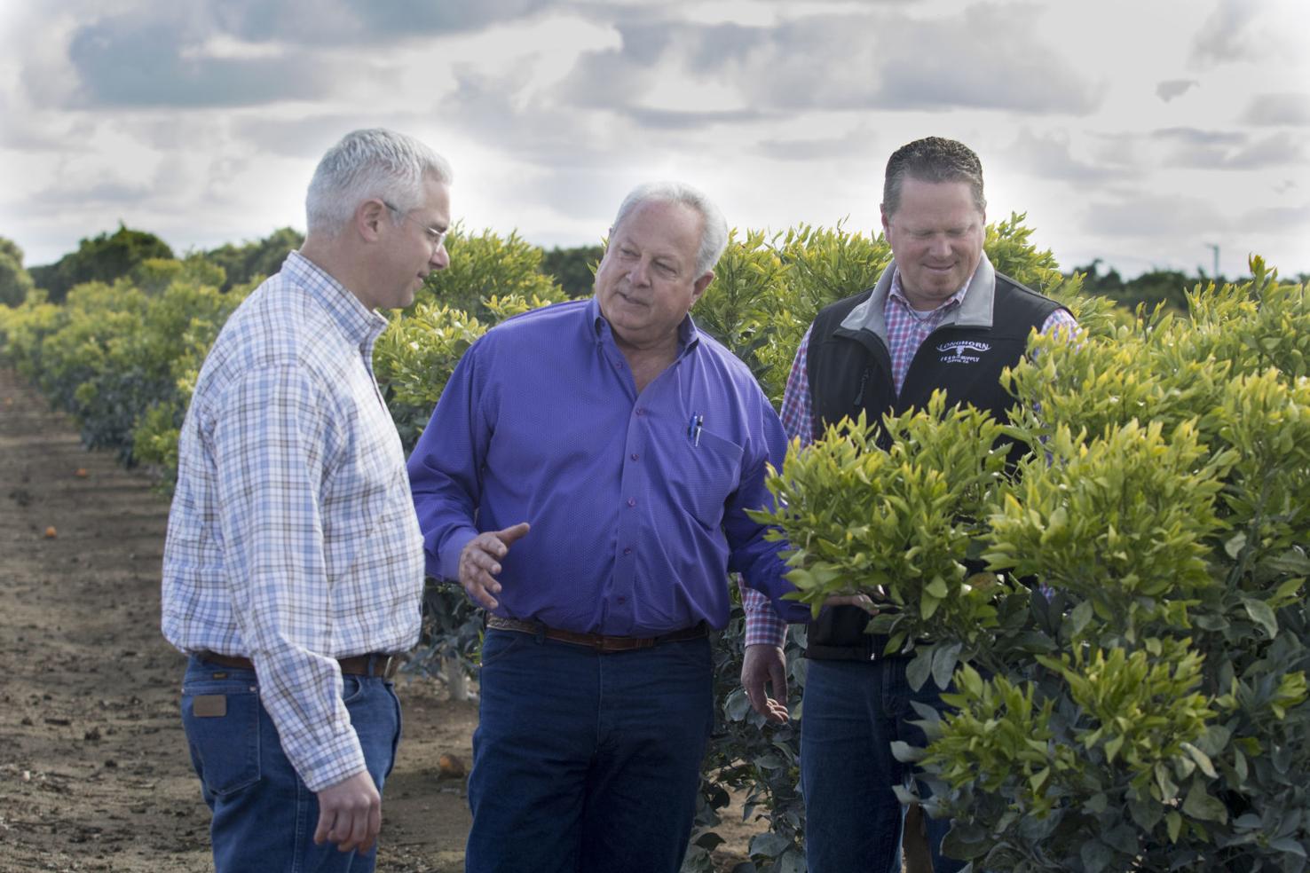 Delano farm survives, thrives into fourth generation Kern Business