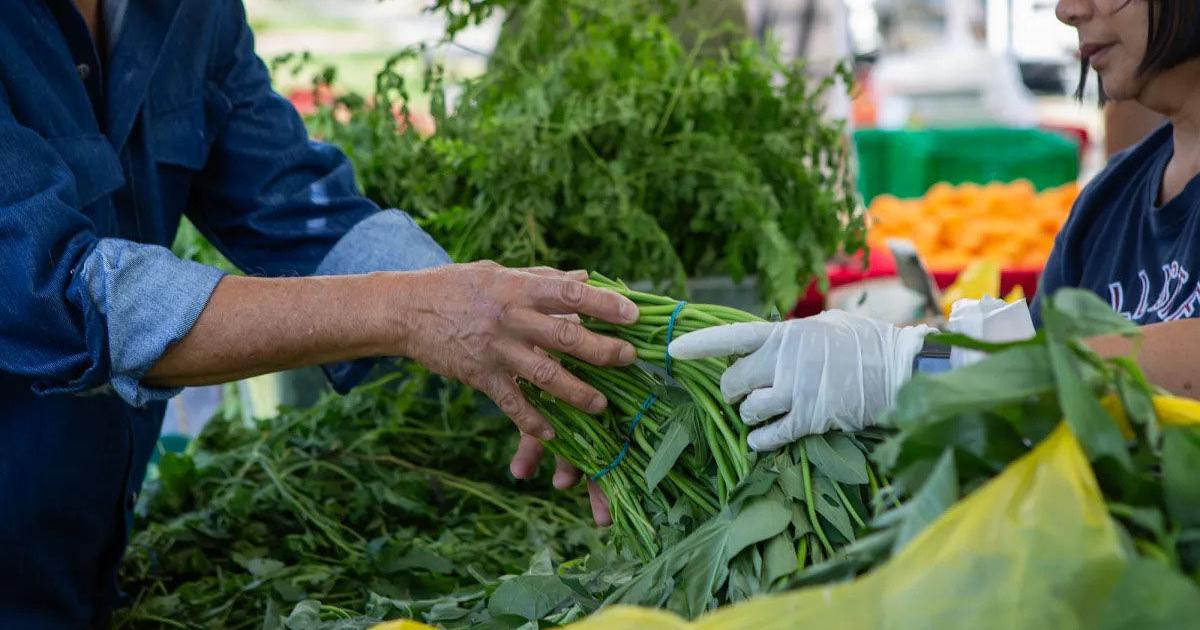 How fresh will CalFresh be? Food benefits on the table in state budget talks - Vimarsana News