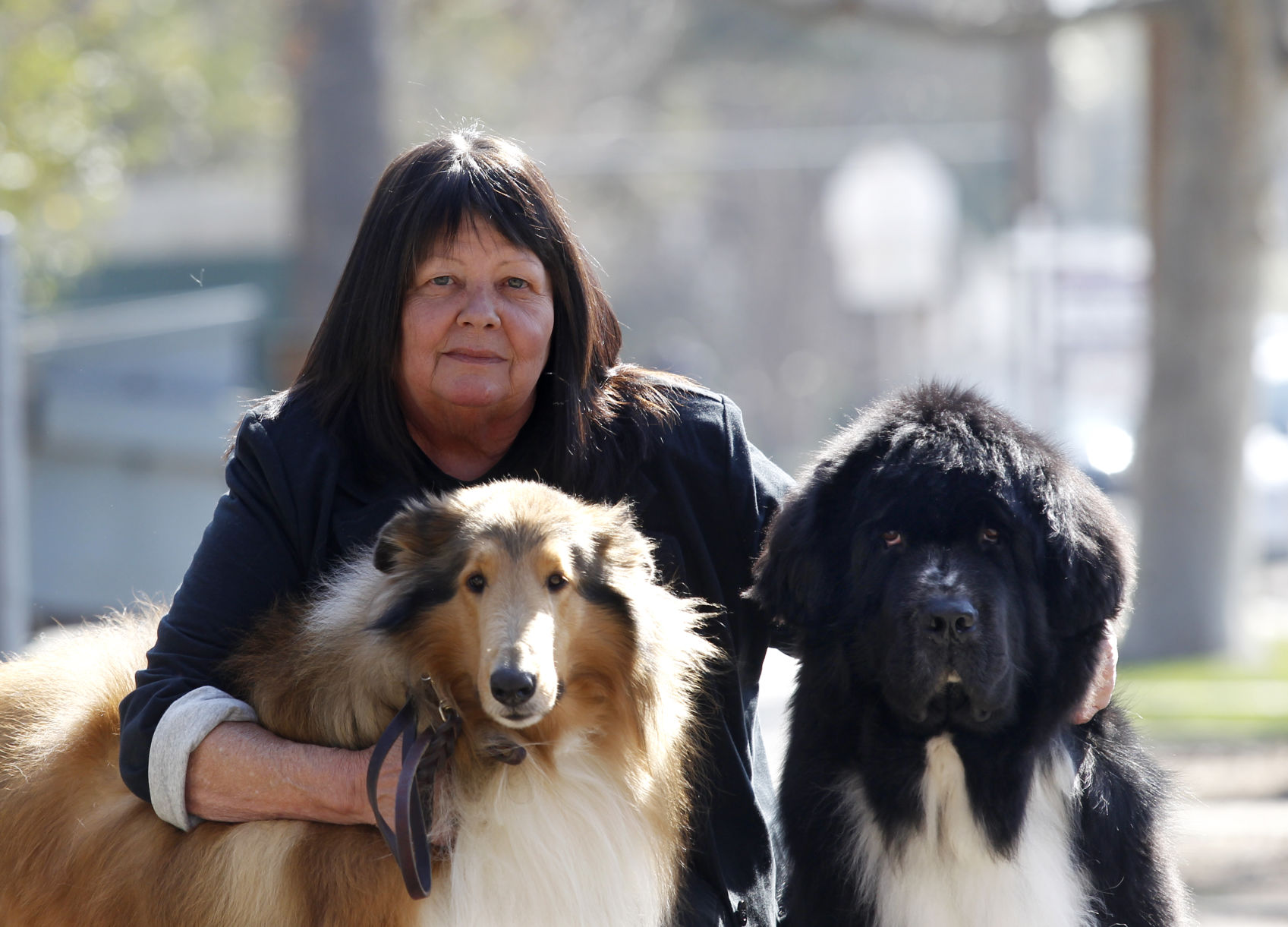 serry dog toothbrush