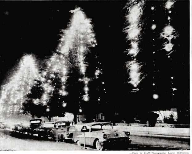 Illuminating the spirit of the season Truxtun Avenue’s Christmas tree