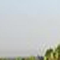 Delano Grape Grower Jakov Dulcich Fatally Shot, Sheriff Says | News |  Bakersfield.com