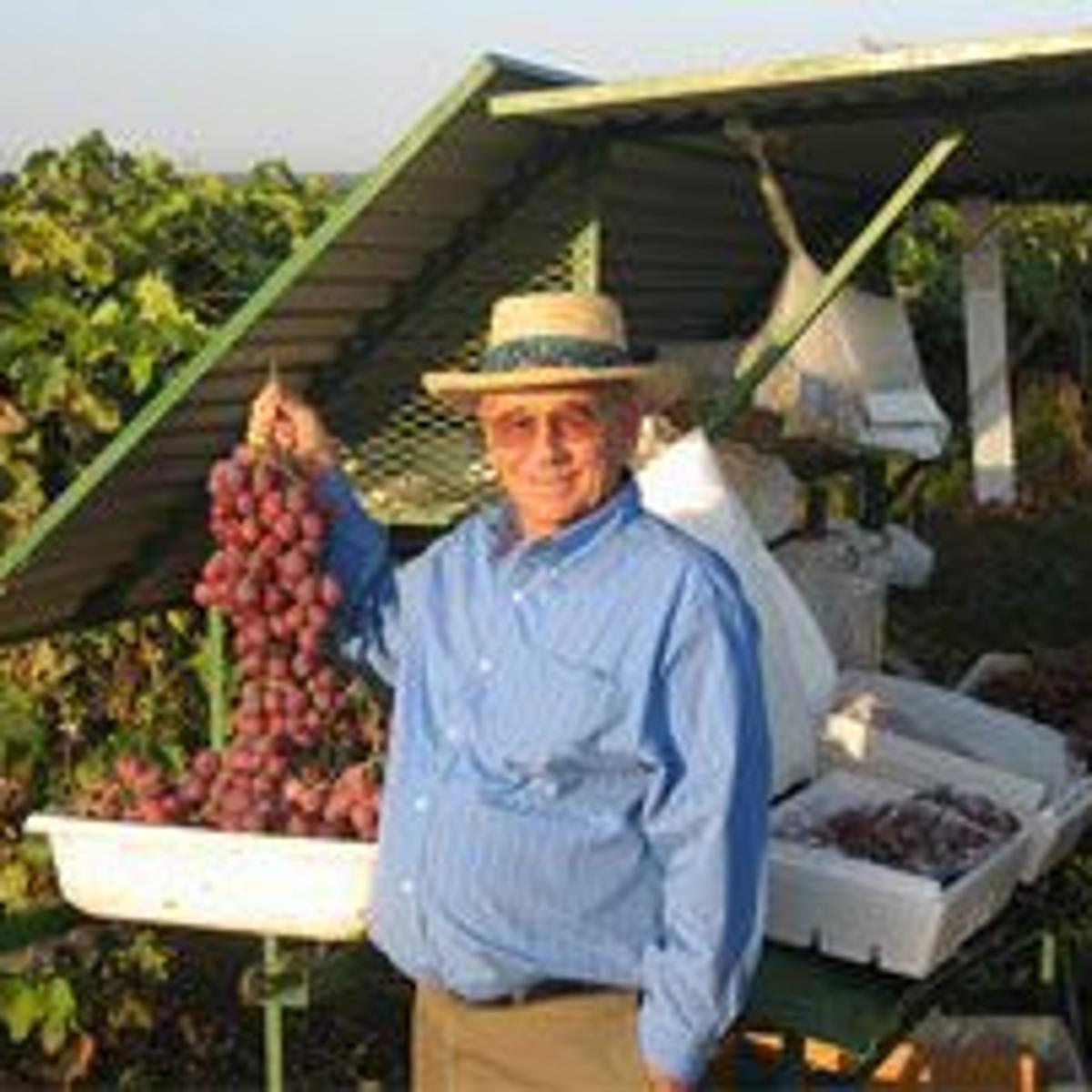 Delano Grape Grower Jakov Dulcich Fatally Shot, Sheriff Says | News |  Bakersfield.com Delano Grape Grower Jakov Dulcich Fatally Shot, Sheriff Says | News |  Bakersfield.com