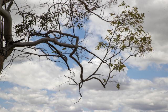 After an unusually cool week in late May, we begin the transition toward summer