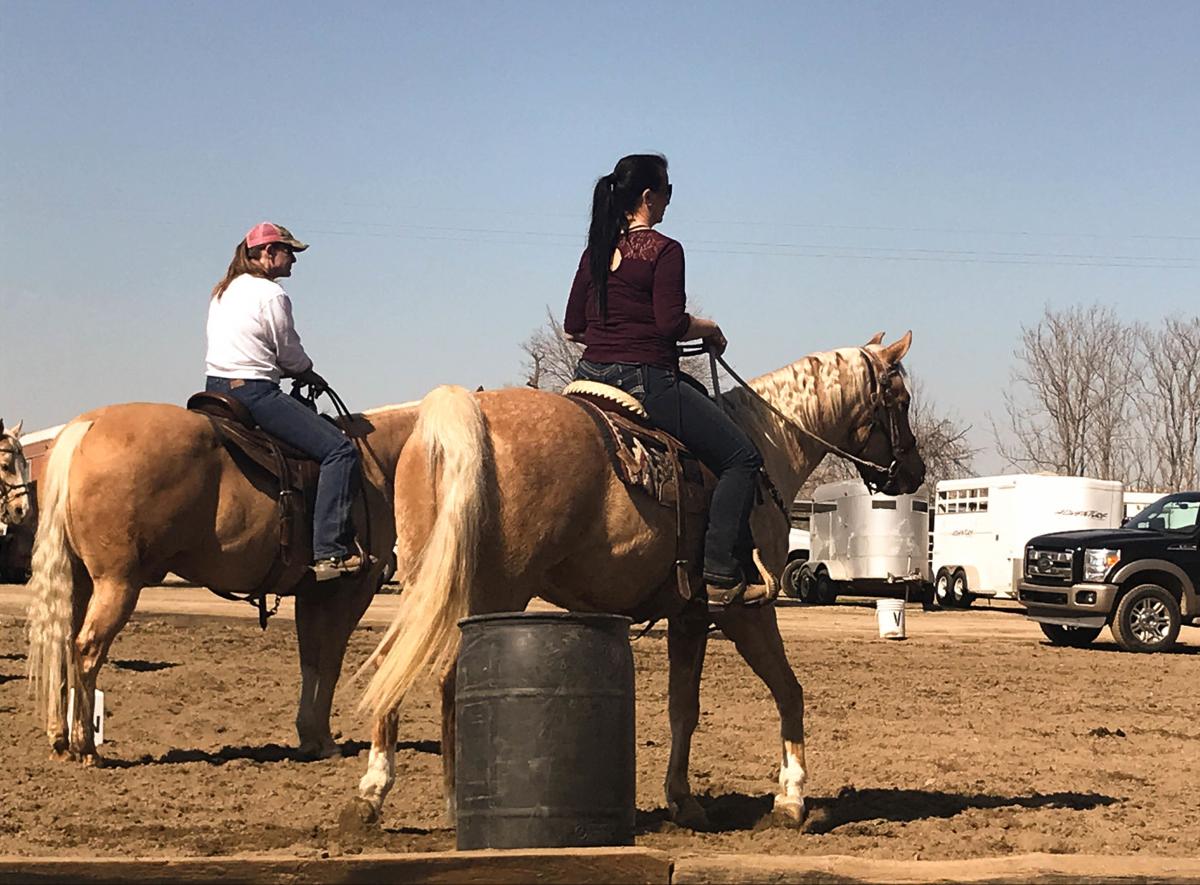 Equestrian for everyone Rancho Rio sets out to teach horse owners new