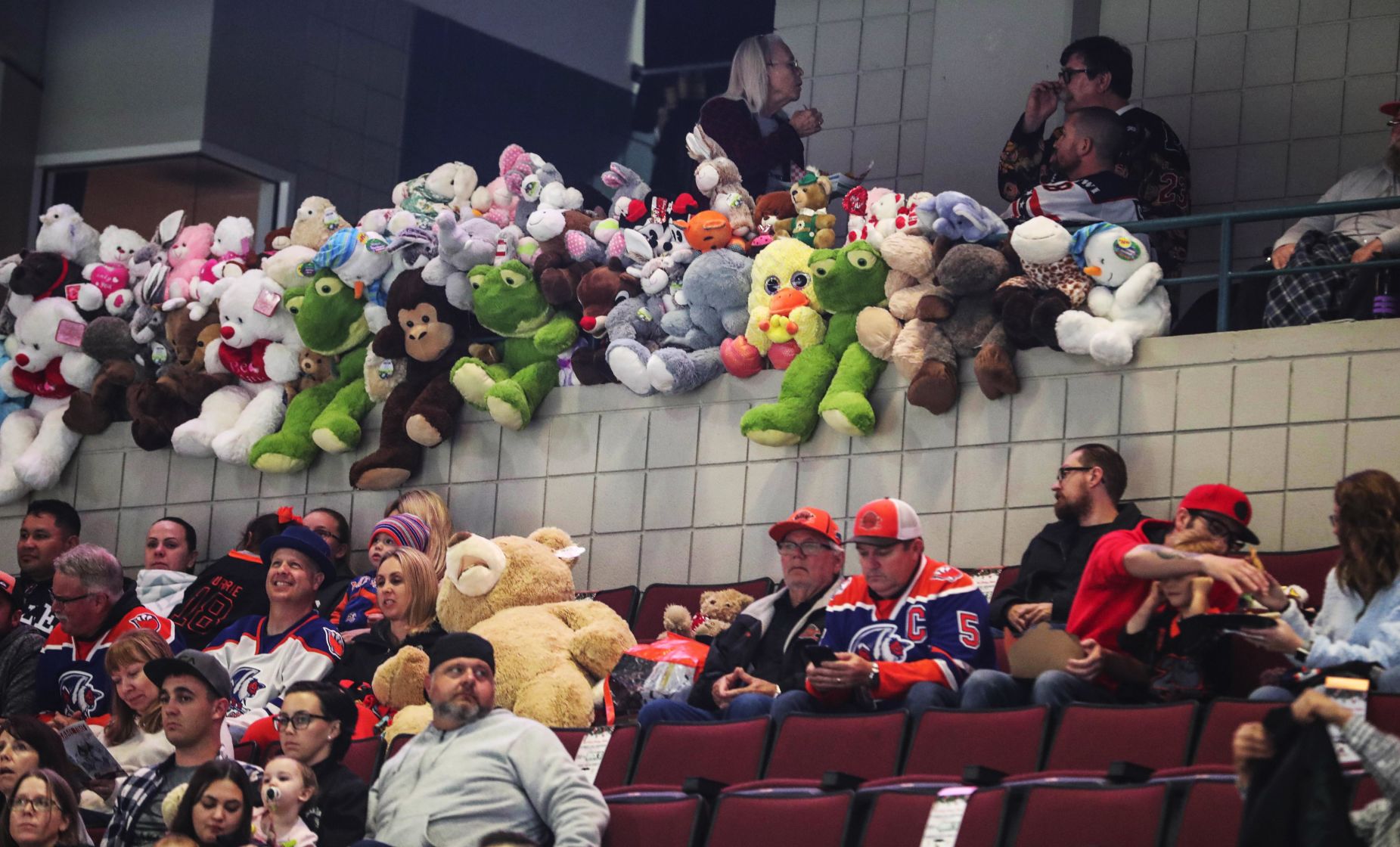 condors teddy bear toss 2018