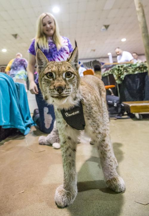 Reptile and Pet Expo10