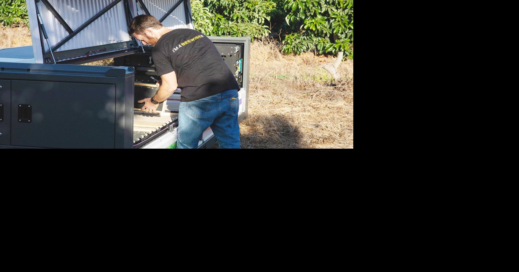 The new buzz: Automation raises hopes for sustaining bee colonies ...