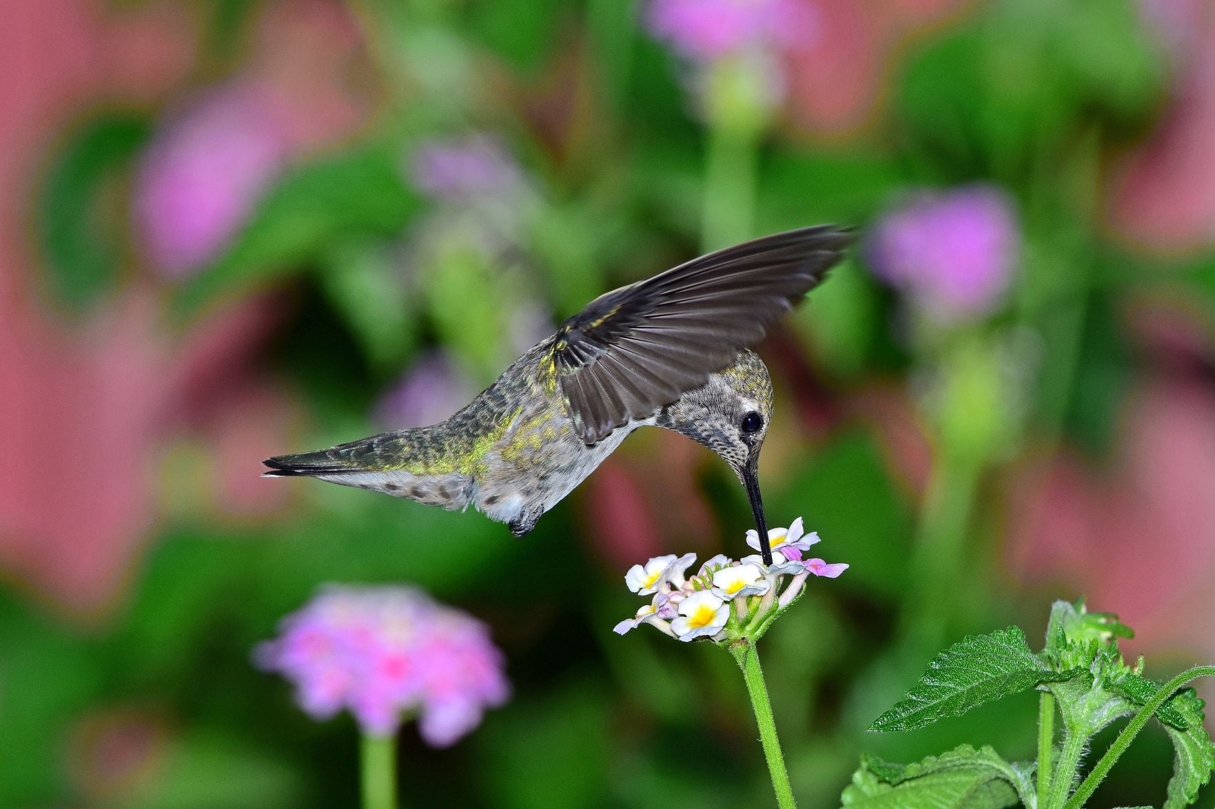 news image for title