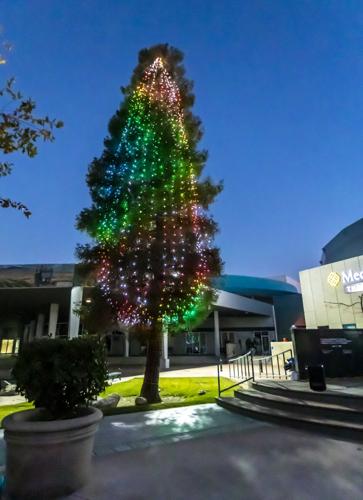 Weather San Jose Ca Christmas Tree Lighting 2022 City's Christmas Tree Lighting To Be Held Nov. 27 | Entertainment |  Bakersfield.com