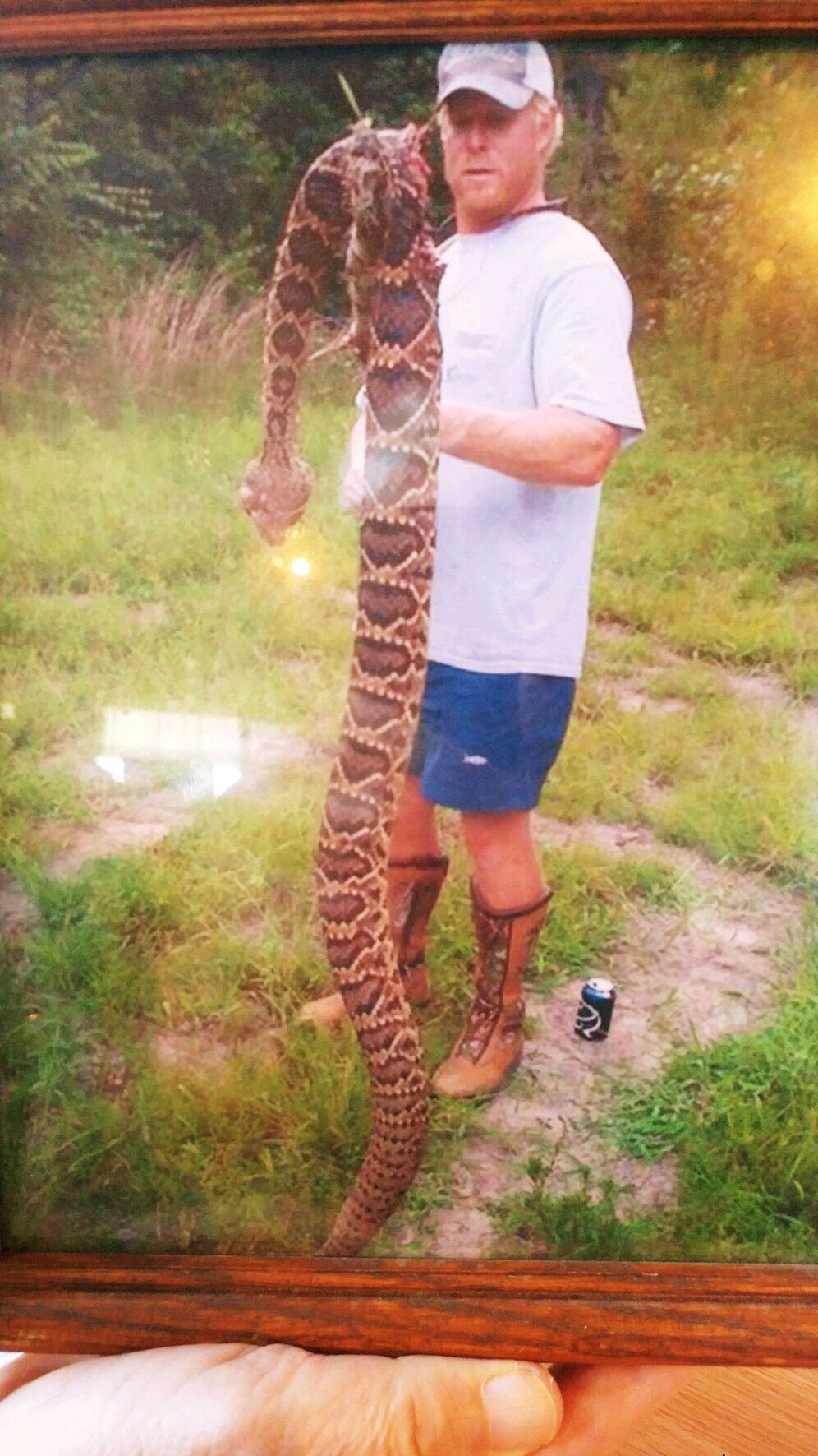 giant rattlesnake