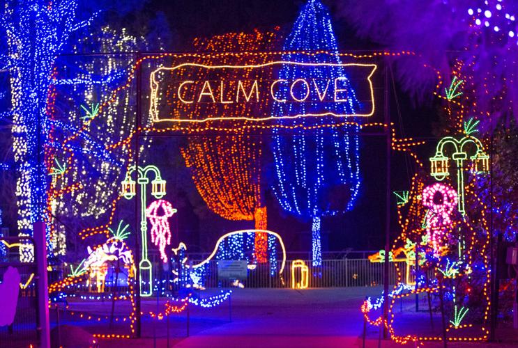 The most wonderful (and safe) time of the year Holiday Lights at CALM