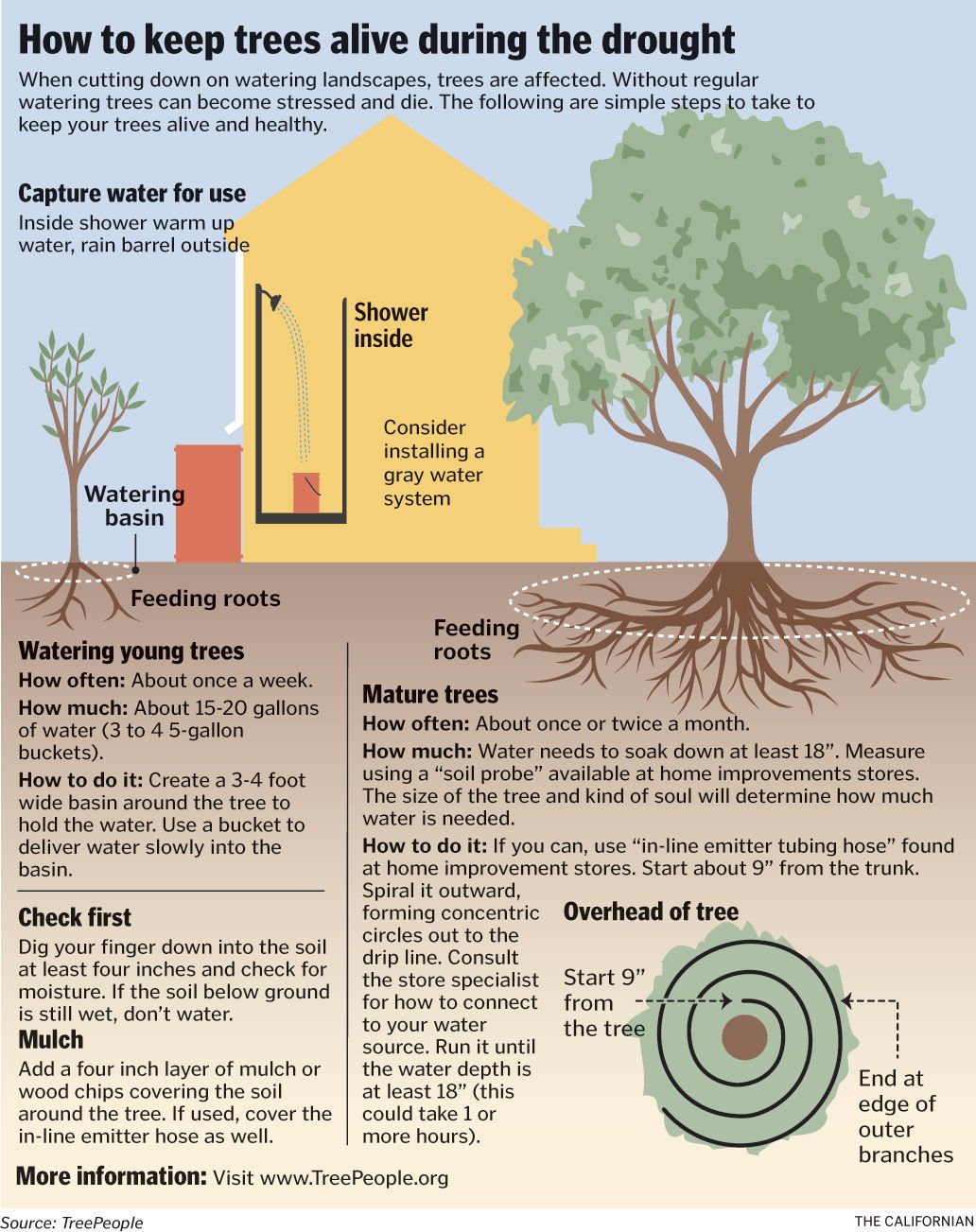 Trees are suffering, but at home you can help | News | bakersfield.com