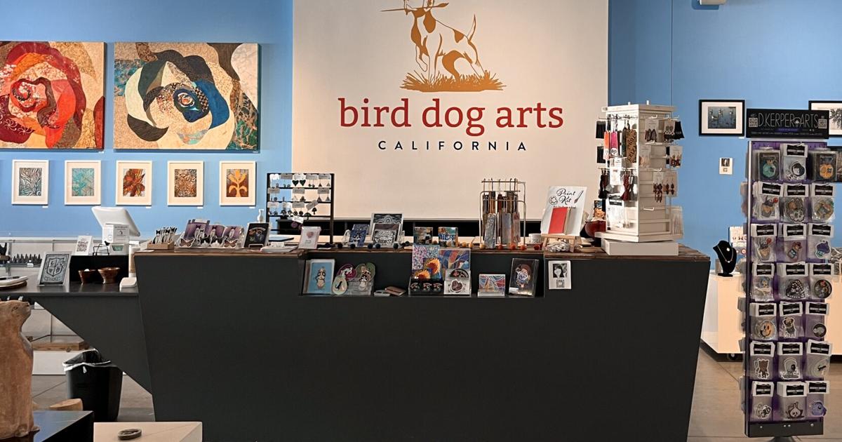 Bird Dog Arts to fete anniversary with open house