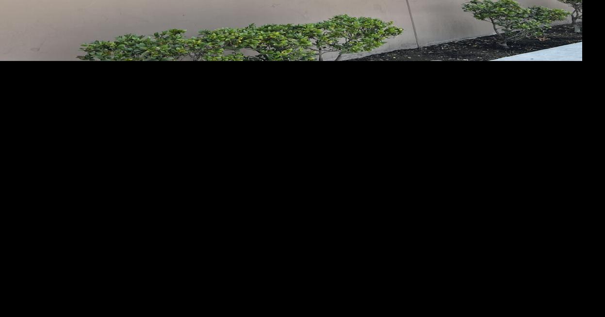 Adventist Health Bakersfield adds new entrance for emergency walkins